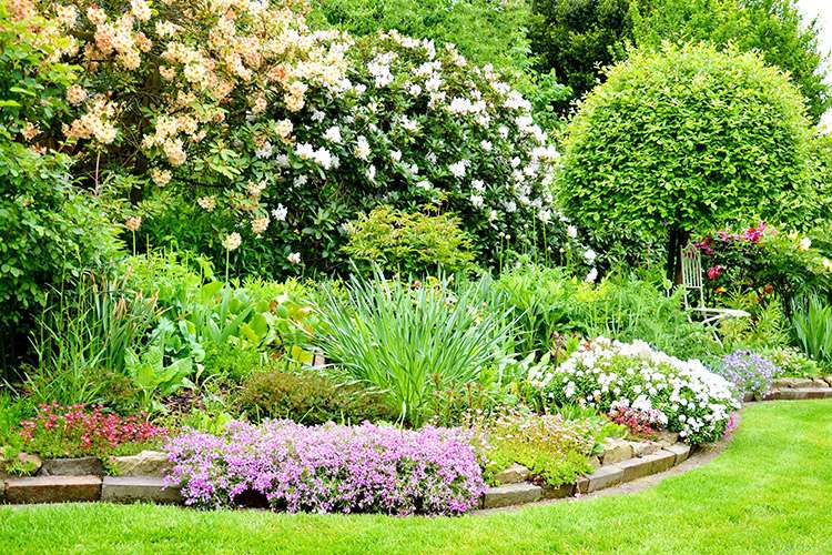 Garten mit Bepflanzung und Rasenanlage